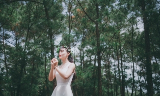 Khám phá đồi thông Bồ Bồ - 'tiểu Đà Lạt' ngay ngoại ô Đà Nẵng