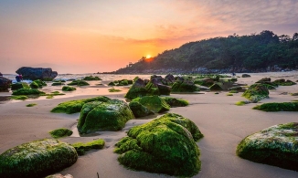 Khám phá vẻ đẹp hoang sơ của bãi Rạn Nam Ô, Đà Nẵng