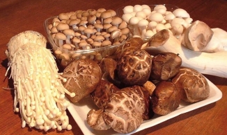 Mẹo nhỏ bảo quản nấm trong tủ lạnh luôn tươi ngon như lúc mới mua