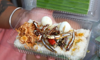 Xôi cá cơm Nha Trang, món ăn có giá 'con nhà nghèo' khiến bao người mê mẩn