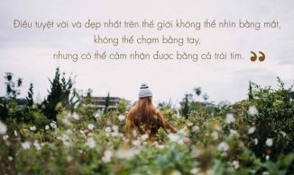 Những câu nói hay về cuộc sống, tình yêu và tình bạn