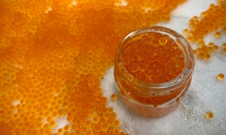 Cách muối trứng cá hồi Sa Pa đơn giản, dễ áp dụng của mẹ đảm Hà thành