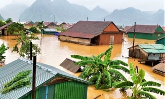 Hiệu trưởng kêu gọi không tặng hoa 20/10, dành tiền ủng hộ vùng lũ