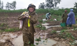 Quảng Trị: Công an dầm mưa nhổ sắn, dọn bùn giúp dân vùng lũ