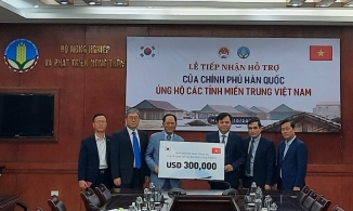 Hàn Quốc hỗ trợ 300.000 USD khắc phục hậu quả do bão lũ tại miền Trung