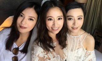 Mối quan hệ đầy thị phi của Triệu Vy, Phạm Băng Băng và Lâm Tâm Như