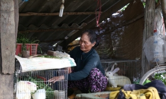 Trưởng thôn giả mạo chữ ký người dân được nhận gạo cứu đói để lấy phần