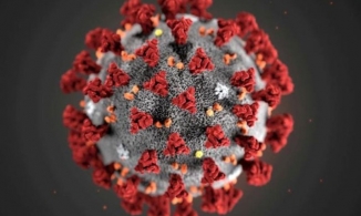 20% bệnh nhân Covid-19 ghi nhận biến chứng tâm thần