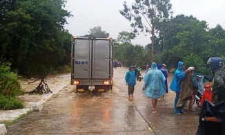 Bão số 12 gây ngập úng, quật đổ cây xanh tại Phú Yên, Khánh Hòa