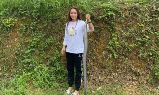 Gái xinh 10x tay không bắt rắn hổ mang hơn 2kg về cho bố ngâm rượu