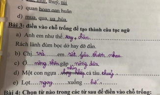 Khi học sinh tiểu học làm bài tập tiếng Việt và cái kết