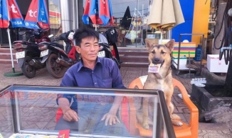 Chú chó bán vé số đắt hàng nhờ 'cái thái độ' cục súc không ai bì kịp