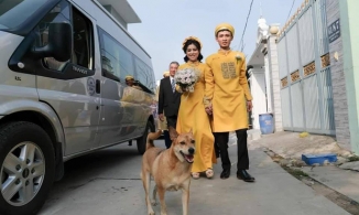 Nóng trên MXH: 'Sen' đi lấy chồng, chú chó hớn hở như vừa tống đi 'của nợ'