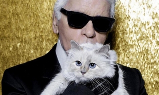 Choáng với cuộc sống thượng lưu của cô mèo triệu phú duy nhất trên thế giới