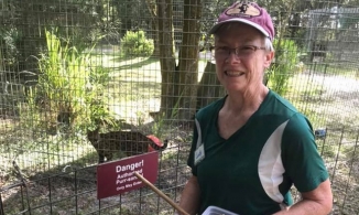 Cho hổ ăn, một người phụ nữ bị cắn gần lìa tay