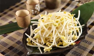 Điều gì xảy ra khi bạn ăn giá đỗ thường xuyên