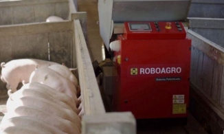 Robot cho lợn ăn đắt hàng mùa Covid-19