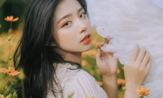 Tử vi ngày 7/12/2020 của 12 con giáp: Thân bị tiểu nhân chọc phá