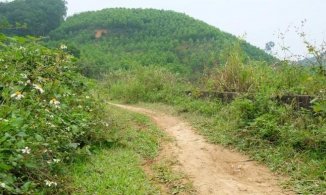 Thanh Hóa: Người đàn ông bị cắt 'của quý' trên đồi cao su