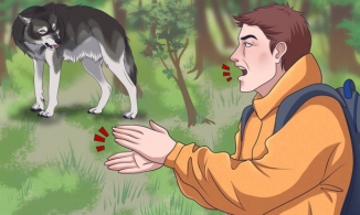 Nắm loạt bí kíp sinh tồn sẽ giúp bạn thoát khỏi 6 tình huống cực nguy hiểm thường gặp