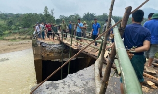 Thủy Tiên thông báo đấu thầu xây cầu ở Nghệ An