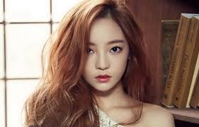 Sau một năm tranh chấp, tài sản của Goo Hara được chia thế nào?