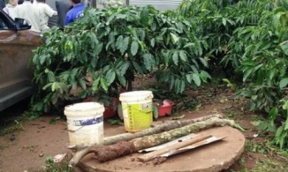 Quảng Ninh: Hai anh em song sinh tử vong dưới bể nước của gia đình