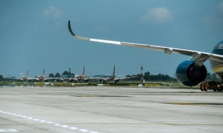 Nghi mèo chạy qua đường băng ở Nội Bài, nhiều máy bay phải chuyển hướng hạ cánh