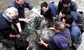 Báo nước ngoài đưa tin về việc phát hiện thêm 'rùa Hoàn Kiếm' ở Việt Nam