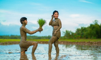 Cặp đôi chụp ảnh cưới trong bùn, lấy lúa làm hoa