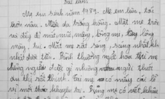 Học sinh cấp 1 tả mẹ: 'Mắt mẹ rất sáng, sáng nhất khi nhặt được tiền'