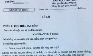 Bài kiểm tra Văn lớp 9 ra đề có nội dung mẹ chồng nàng dâu cạnh khoé nhau