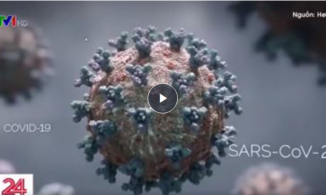 Đưa tin về Covid-19, VTV cũng không quên bắt trend hai từ 'duyên phận'