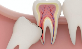 Ngón chân, lông ngực nam giới và 4 bộ phận sẽ biến mất trong tương lai
