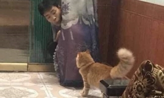 Thanh niên xa nhà về ăn Tết bị bố xem như vô hình vì bận chơi ú oà với mèo