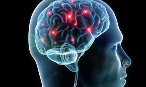 Phát hiện virus nCoV 'trốn' trong não của bệnh nhân