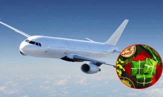 Người người hủy vé về quê ăn Tết, hoa đào bánh chưng thế chỗ trên máy bay  