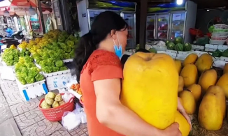 Bưởi khổng lồ nặng đến cả yến, giá tiền triệu được người Sài Gòn săn đón