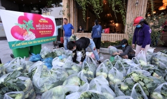 Đà Nẵng: Nhóm bạn trẻ lập 9 'siêu thị mini' giải cứu 10 tấn rau cho bà con Hải Dương