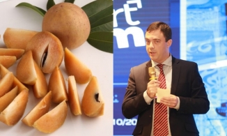 Đại sứ quán Israel đăng bài lên Twitter khen quả hồng xiêm Việt Nam ngon