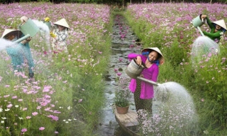 Việt Nam tăng 4 bậc trong BXH những nước hạnh phúc nhất thế giới