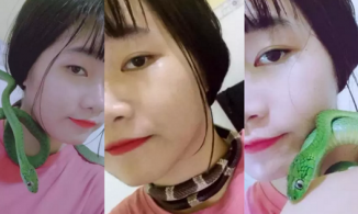 Ớn lạnh với cô gái thích nuôi rắn, quấn quanh cổ, cưng chiều như em út