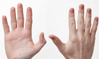 Nhân tướng học: Xem vận mệnh người có vết lõm dưới đốt ngón tay