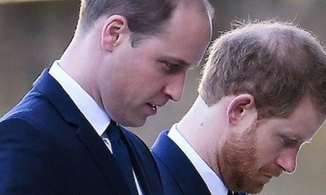 William quyết không tin Harry dù thái tử Charles muốn làm hòa