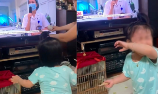 Xúc động khoảnh khắc em bé giơ tay đòi bế, khóc nức nở khi thấy mẹ đi chống dịch xa nhà trên tivi