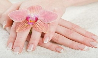 Nhân tướng học: Đặc điểm của tướng bàn tay phú quý