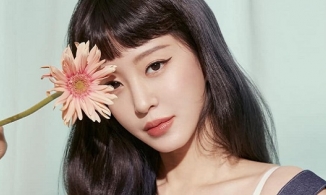 YouTuber Viện Garo Sero lại gây chú ý khi gọi Han Ye Seul là gái bán dâm