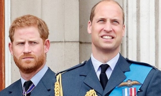 Harry yêu cầu có phóng viên riêng khi dự lễ khánh thành tượng cố Công nương Diana