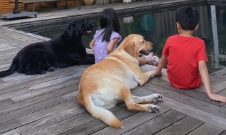 Tăng Thanh Hà hé lộ cách hai con thư giãn, tuyệt đối 'nói không' với smartphone