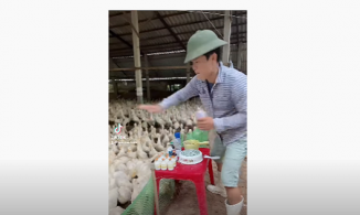 Sinh ra làm DJ nhưng bố mẹ bắt đi chăn vịt, anh nông dân 'quẩy tưng' MXH